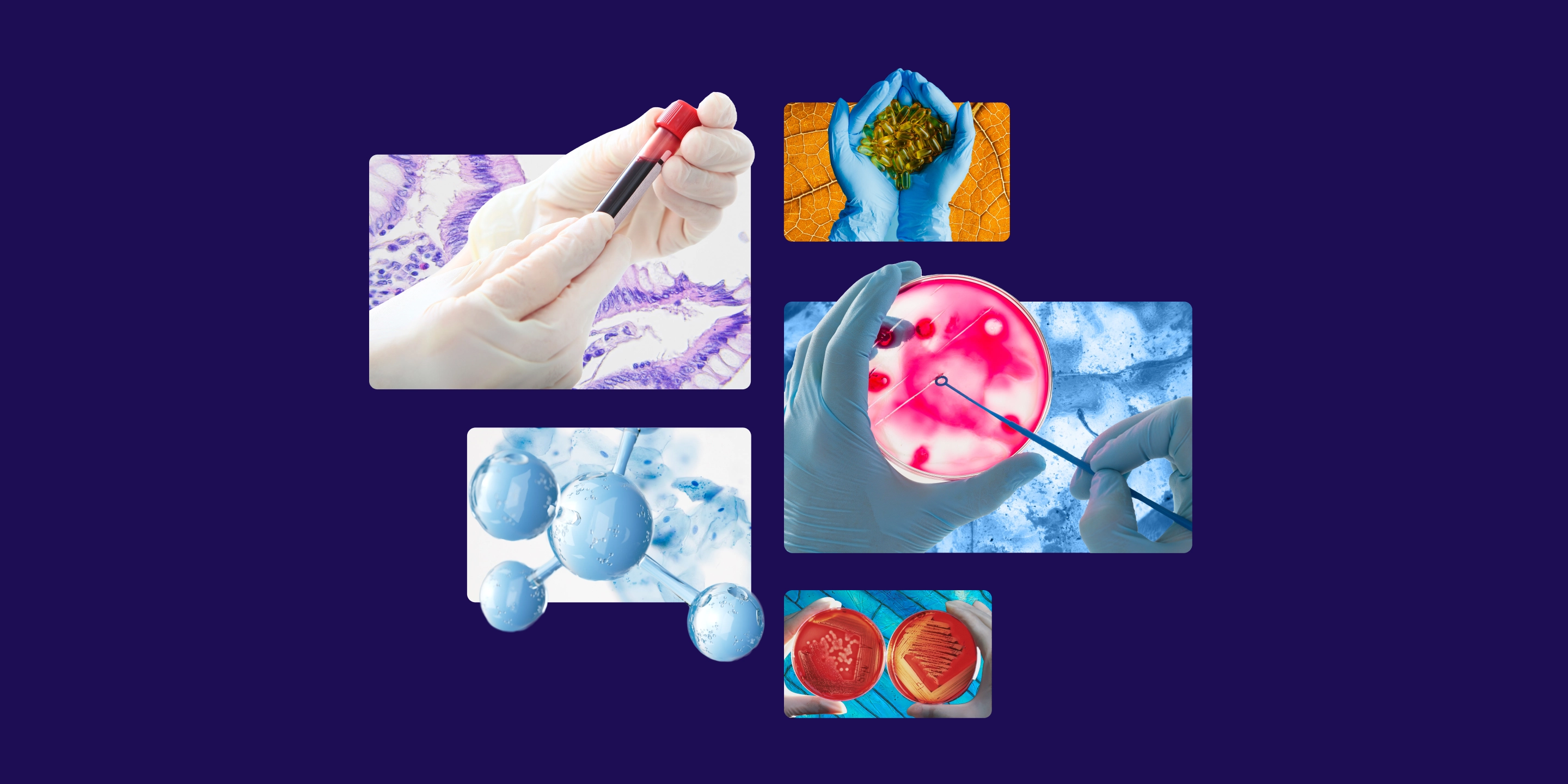Case Study Image