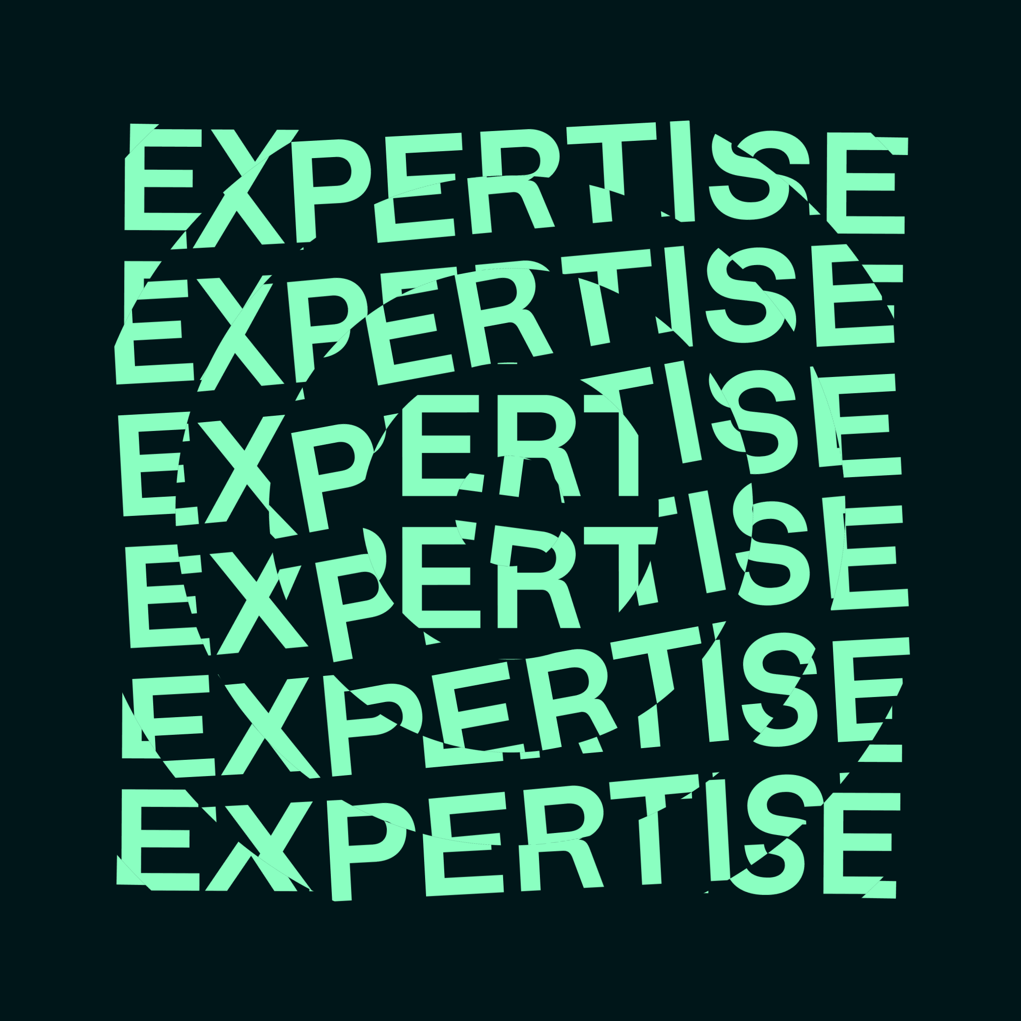 Graphic repeating the word “expertise” to illustrate the value of professional knowledge and specialized skills.
