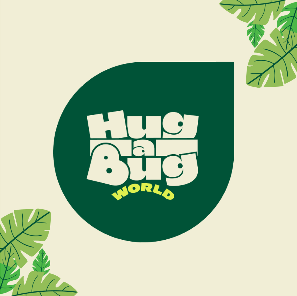 HugABugWorld Case Study - branding for startup